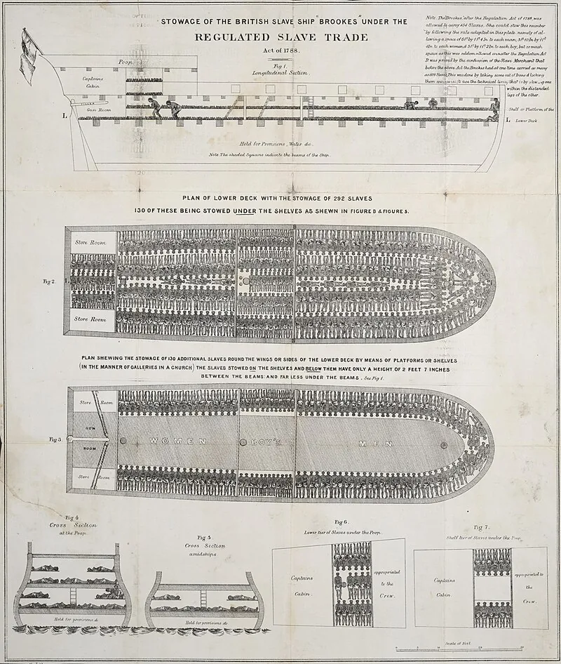 Diagram of the slave ship Brookes, 1788